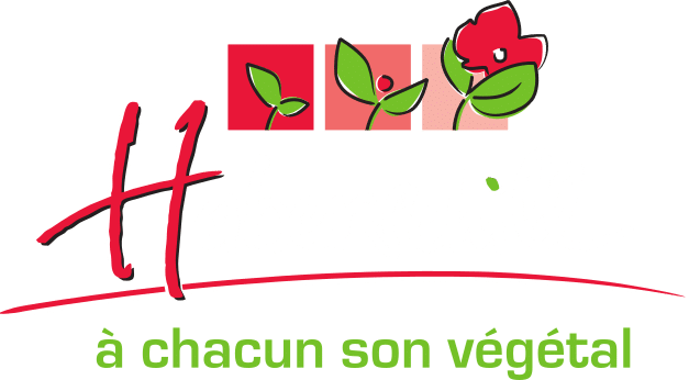 Logo Haberschill